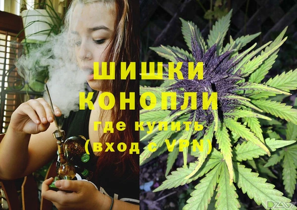 индика Осинники