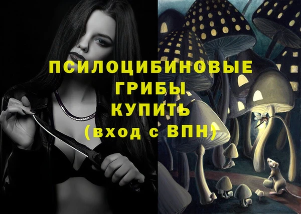 крисы Алексеевка