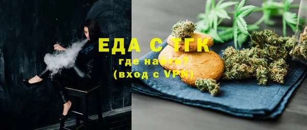 индика Осинники