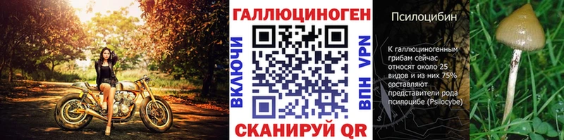 Галлюциногенные грибы MAGIC MUSHROOMS Луза